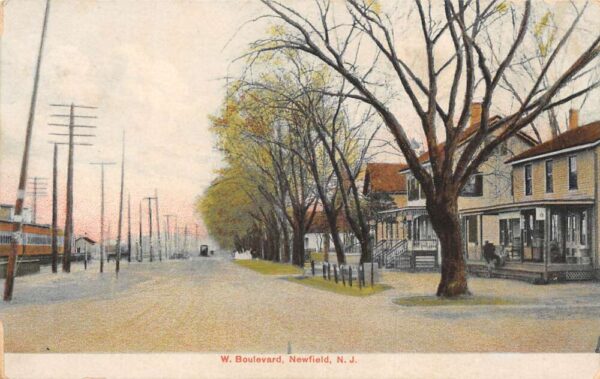 Vineland New Jersey West Boulevard Street Scene Vintage Postcard AA98365