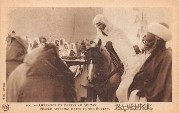 Morocco People offering Dates to the Sultan Royalty Vintage Postcard AA98554