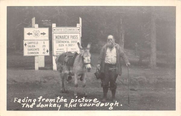 Monarch Pass Colorado Mr. McGimlet & Donkey, Continental Divide, RPPC U21357