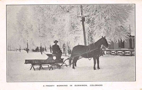 Gunnison Colorado Horse & Cart, Snow Scene, B/W Lithograph, PC U21367