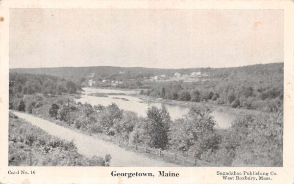 Georgetown Maine Birds Eye View Landscape Vintage Postcard AA98675