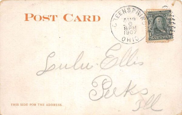 Lee Line US Mail Steamers Mississippi Ohio River Route Vintage Postcard AA98837 - Image 2