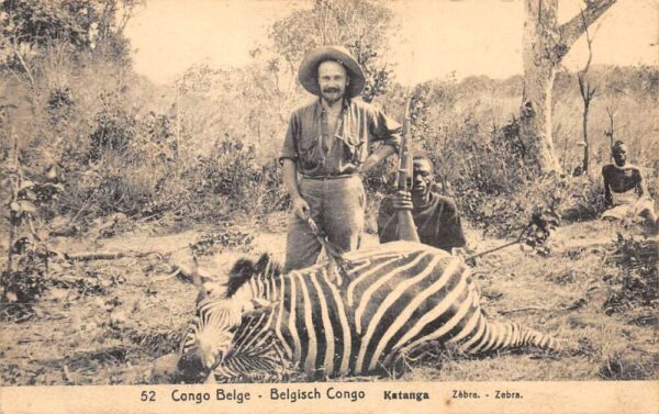 Katanga Belgium Belgisch Congo Zebra Hunting Hunter Postcard AA98847